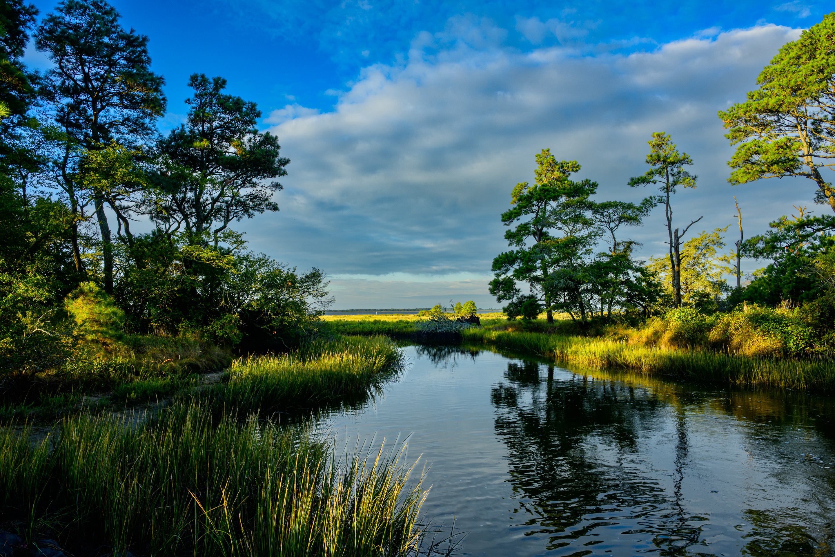 3rd PrizeMulti-Scape In Class 3 By Leon Smith For Entrance To The Bay SEP-2025.jpg